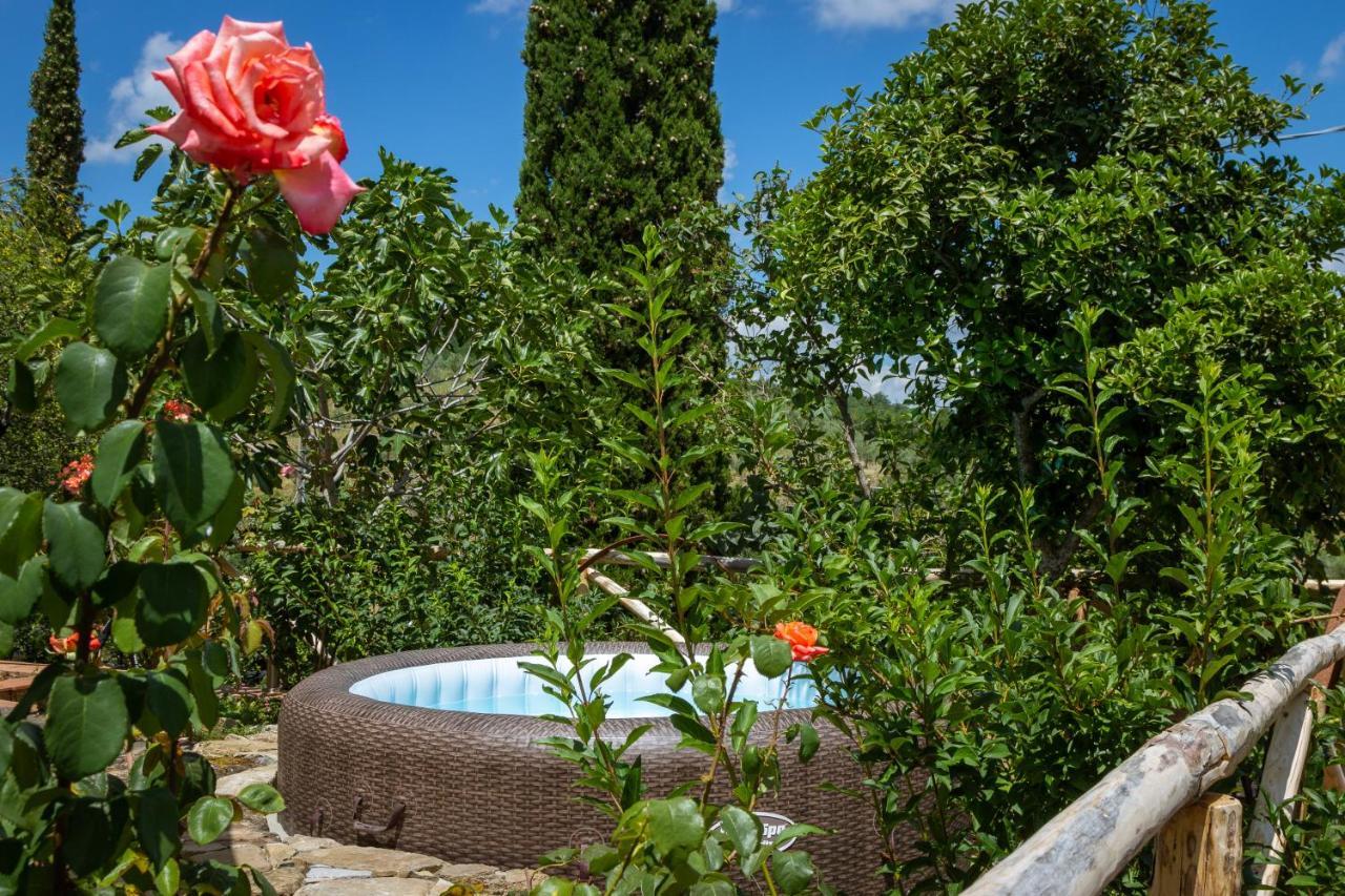 Al Poderuzzo Private Villa with jacuzzi&garden Castelnuovo deʼ Sabbioni Esterno foto